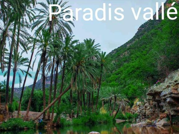 Residence Tafoult Imiouadar Pres De Taghazout Agadir Agadir n'Ait Sa エクステリア 写真